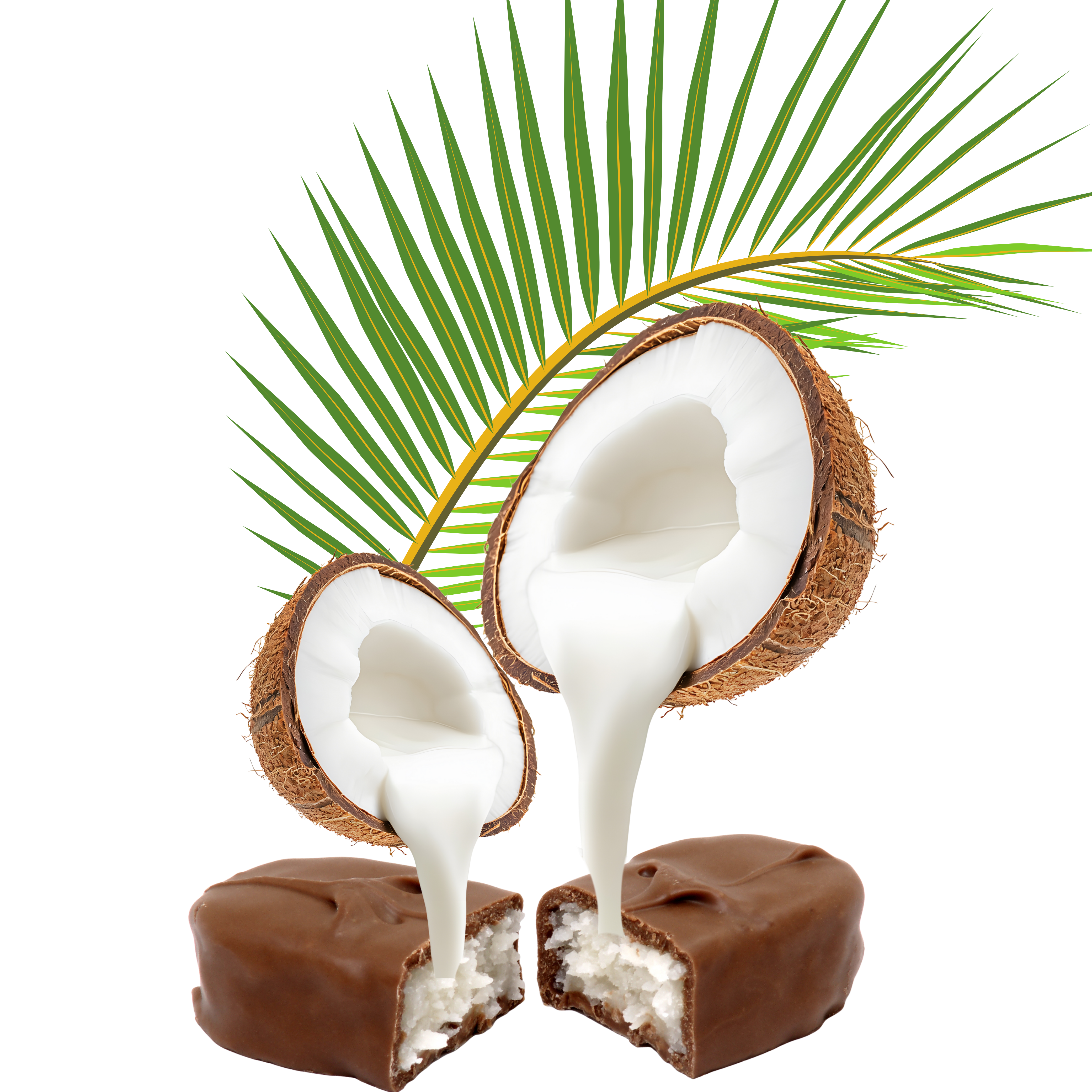 Icon cocoblish Praline